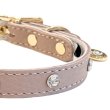 画像5: BB 首輪 ラテ 3号 スワロフスキークリスタル付 Latte ID カラー バディーベルト buddybelt バディベルト (5)