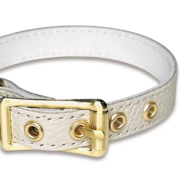 画像3: BB 首輪 ミルクティー・MilkTea 4号 (3)