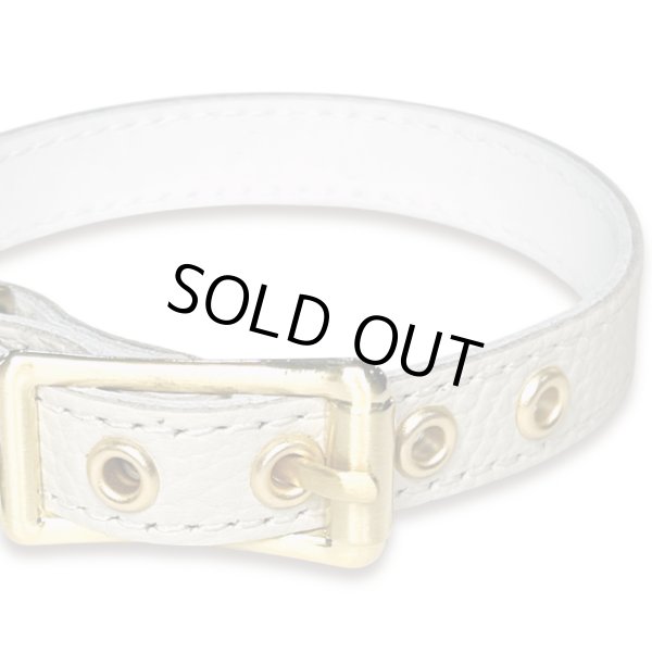 画像3: BB 首輪 ミルクティー・MilkTea 1号 (3)