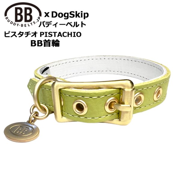 画像1: BB 首輪 ピスタチオ・Pistachio 2号 (1)