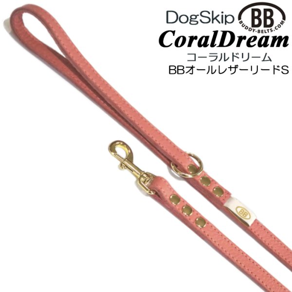 画像1: BBオールレザーリードSサイズ コーラルドリーム・CoralDream (1)