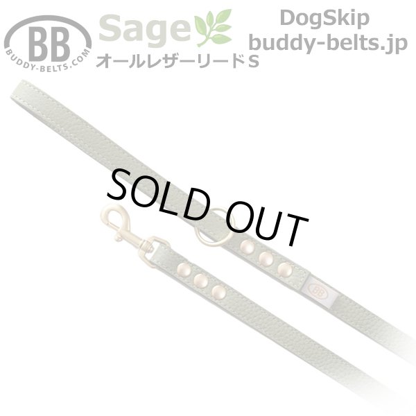 画像1: BBオールレザーリードSサイズ セージ Sage (1)