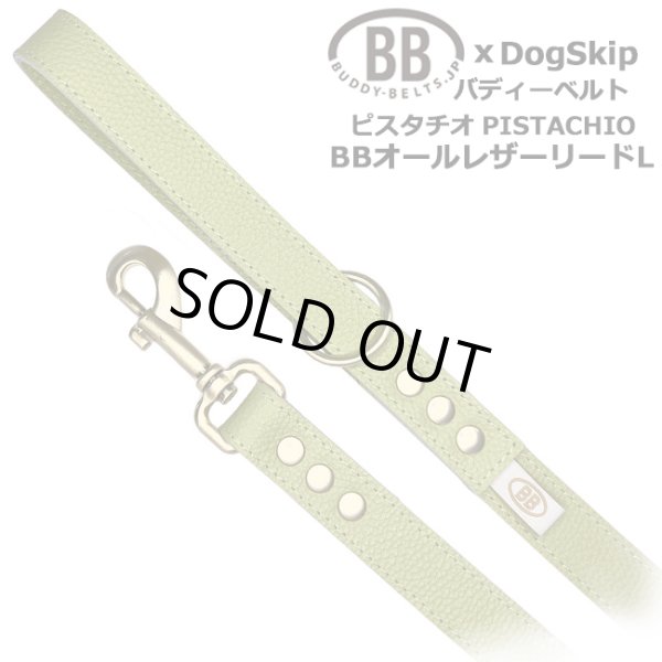 画像1: BBオールレザーリードLサイズ ピスタチオ・Pistachio (1)