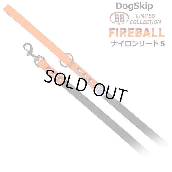 画像1: BBナイロンリードSサイズ FIREBALL ファイヤーボール バディベルト BUDDYBELT バディーベルト 犬用 ペット ドッグ バディーベルト正規輸入代理店 正規店 (1)