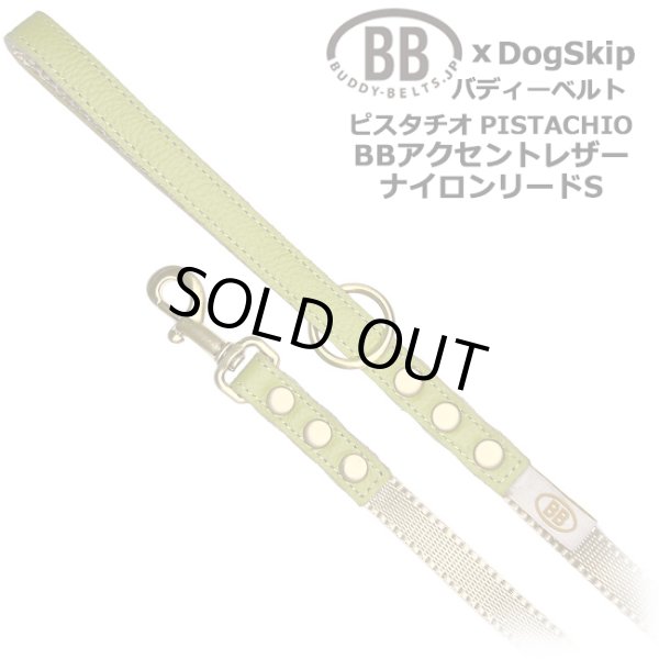 画像1: BBアクセントナイロンリードSサイズ ピスタチオ・Pistachio (1)