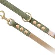 画像2: BBアクセントナイロンリードSサイズ セージ Sage (2)