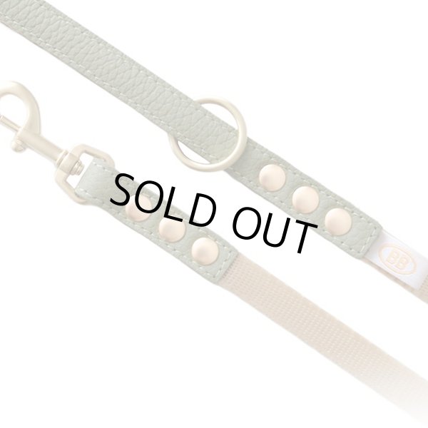 画像2: BBアクセントナイロンリードSサイズ セージ Sage (2)