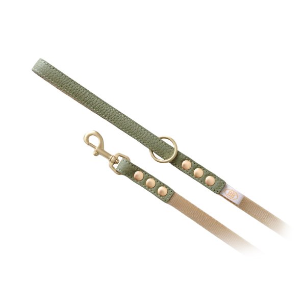 画像3: BBアクセントナイロンリードSサイズ セージ Sage (3)