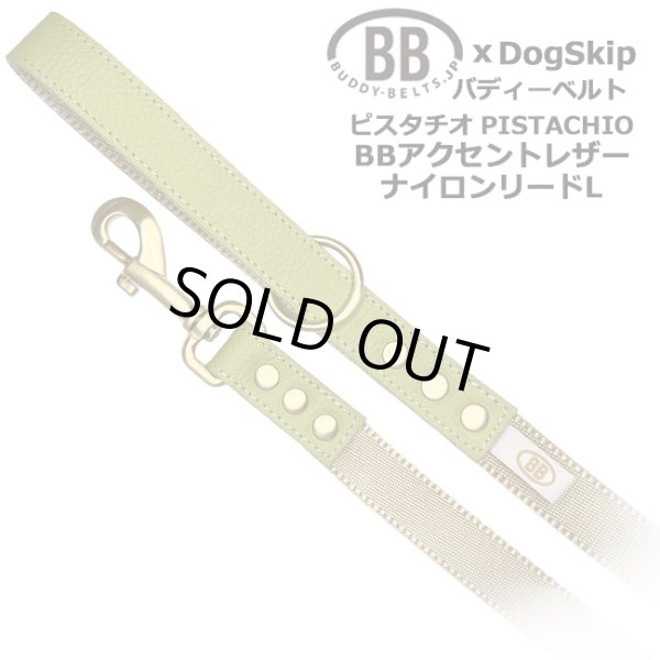 画像1: BBアクセントナイロンリードLサイズ ピスタチオ・Pistachio (1)