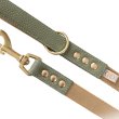 画像2: BBアクセントナイロンリードLサイズ セージ Sage (2)
