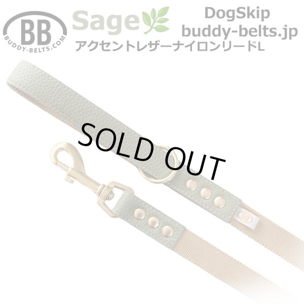 画像1: BBアクセントナイロンリードLサイズ セージ Sage (1)