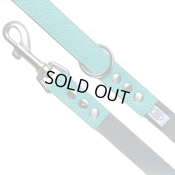 画像2: BBアクセントナイロンリードLサイズ ロビンズエッグブルー Robin's Egg Blue バディベルト BUDDYBELT バディーベルト犬 犬用 ペット ドッグ リード バディーベルト正規輸入代理店 正規店 (2)