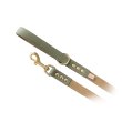 画像3: BBアクセントナイロンリードLサイズ セージ Sage (3)