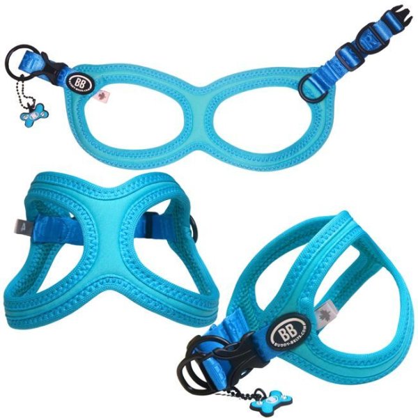 画像3: バディーベルト BBスポーツハーネス 2.5号 小型犬 ペット BUDDYBELT バディベルト 犬用 胴輪 リングハーネス メガネハーネス ボディベルト バディーベルト正規輸入代理店 正規店 BBスポーツバイブラントカラーコレクション(The BB Sport Vibrant color collection)buddy-belts buddybelts バディーベルト卸販売 バディベルト卸販売 (3)