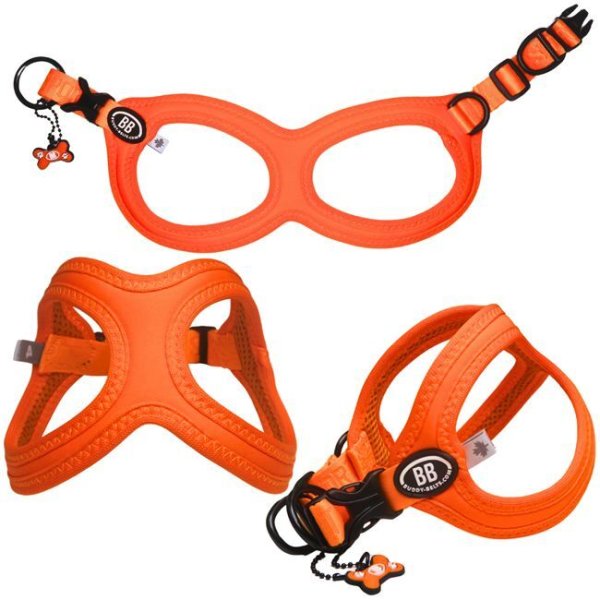 画像5: バディーベルト BBスポーツハーネス 2.5号 小型犬 ペット BUDDYBELT バディベルト 犬用 胴輪 リングハーネス メガネハーネス ボディベルト バディーベルト正規輸入代理店 正規店 BBスポーツバイブラントカラーコレクション(The BB Sport Vibrant color collection)buddy-belts buddybelts バディーベルト卸販売 バディベルト卸販売 (5)