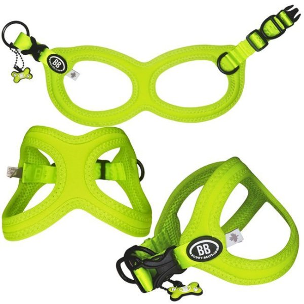 画像6: バディーベルト BBスポーツハーネス 2.5号 小型犬 ペット BUDDYBELT バディベルト 犬用 胴輪 リングハーネス メガネハーネス ボディベルト バディーベルト正規輸入代理店 正規店 BBスポーツバイブラントカラーコレクション(The BB Sport Vibrant color collection)buddy-belts buddybelts バディーベルト卸販売 バディベルト卸販売 (6)