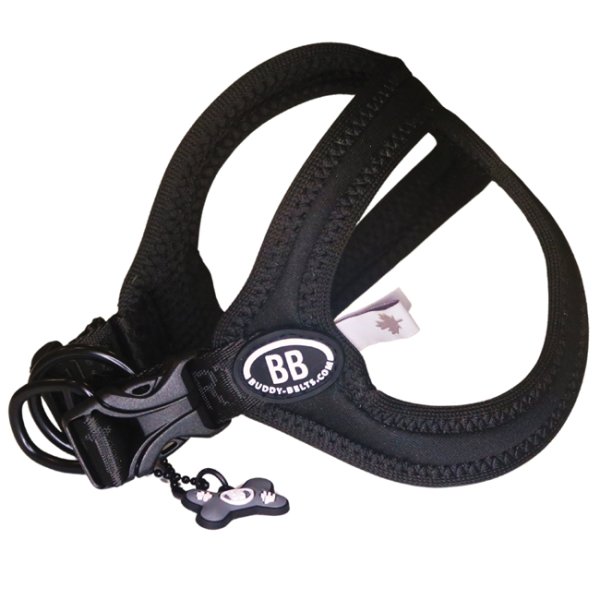 画像7: バディーベルト BBスポーツハーネス 2.5号 小型犬 ペット BUDDYBELT バディベルト 犬用 胴輪 リングハーネス メガネハーネス ボディベルト バディーベルト正規輸入代理店 正規店 BBスポーツバイブラントカラーコレクション(The BB Sport Vibrant color collection)buddy-belts buddybelts バディーベルト卸販売 バディベルト卸販売 (7)