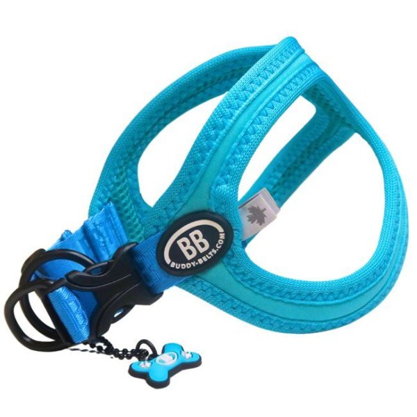 画像8: バディーベルト BBスポーツハーネス 2.5号 小型犬 ペット BUDDYBELT バディベルト 犬用 胴輪 リングハーネス メガネハーネス ボディベルト バディーベルト正規輸入代理店 正規店 BBスポーツバイブラントカラーコレクション(The BB Sport Vibrant color collection)buddy-belts buddybelts バディーベルト卸販売 バディベルト卸販売 (8)