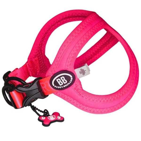 画像9: バディーベルト BBスポーツハーネス 2.5号 小型犬 ペット BUDDYBELT バディベルト 犬用 胴輪 リングハーネス メガネハーネス ボディベルト バディーベルト正規輸入代理店 正規店 BBスポーツバイブラントカラーコレクション(The BB Sport Vibrant color collection)buddy-belts buddybelts バディーベルト卸販売 バディベルト卸販売 (9)