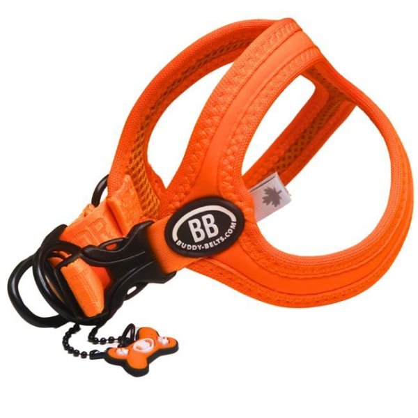 画像10: バディーベルト BBスポーツハーネス 2.5号 小型犬 ペット BUDDYBELT バディベルト 犬用 胴輪 リングハーネス メガネハーネス ボディベルト バディーベルト正規輸入代理店 正規店 BBスポーツバイブラントカラーコレクション(The BB Sport Vibrant color collection)buddy-belts buddybelts バディーベルト卸販売 バディベルト卸販売 (10)