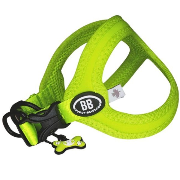 画像11: バディーベルト BBスポーツハーネス 2.5号 小型犬 ペット BUDDYBELT バディベルト 犬用 胴輪 リングハーネス メガネハーネス ボディベルト バディーベルト正規輸入代理店 正規店 BBスポーツバイブラントカラーコレクション(The BB Sport Vibrant color collection)buddy-belts buddybelts バディーベルト卸販売 バディベルト卸販売 (11)