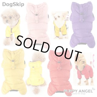 パピーエンジェル(PUPPYANGEL) - DogSkip