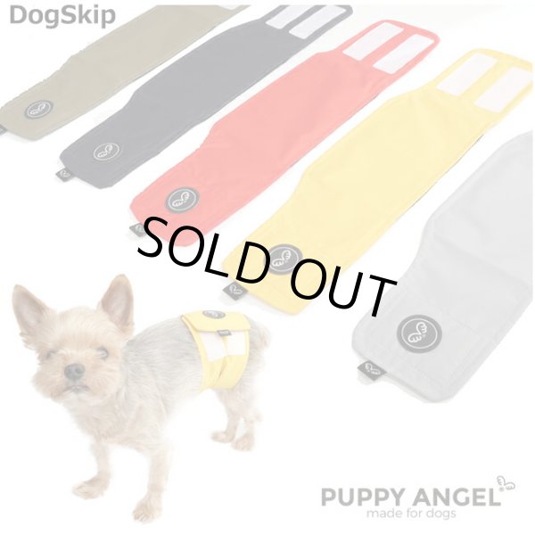 画像1: 犬用 PAマガジオマナーベルト マナーバンド / S,M,L,XLサイズ パピーエンジェル ドッグウェア 小型犬 犬 Puppy Angel(R)MAGAGIO Manner Belt (For Boy) (1)