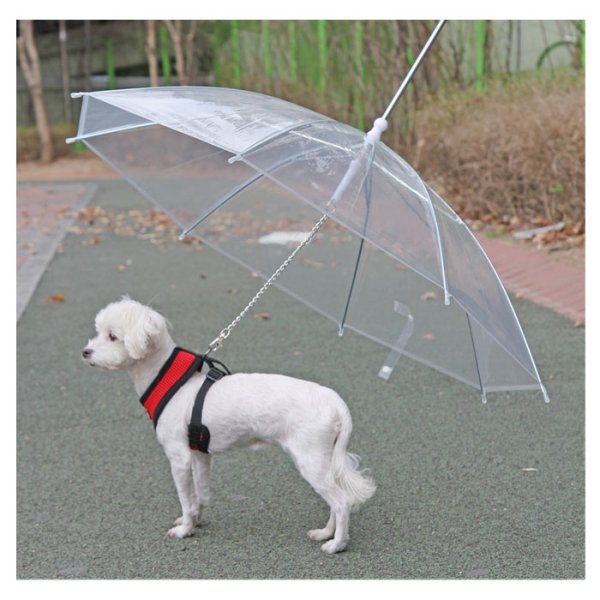 画像1: パピア犬用傘付きリード PUPPIA パピア 犬 犬用 ペット ドッグ ペット ペットグッズ 雨 雨具 (1)