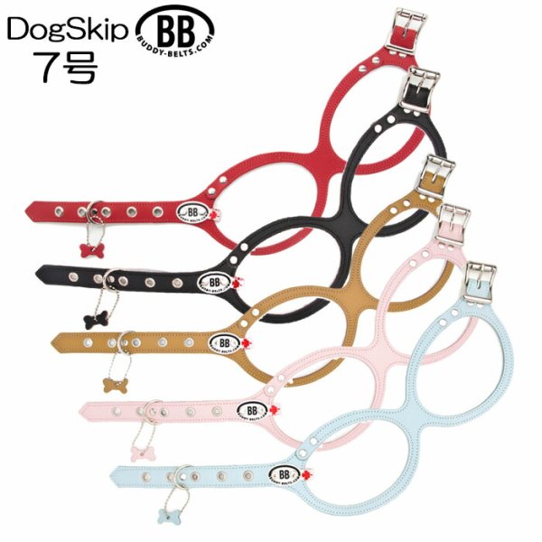 画像1: 胴輪 ハーネス バディーベルト 7号 BUDDY BELT BUDDYBELT ペット 犬 レザー 本革 犬 犬用 ドッグ バディーベルト正規輸入代理店 正規店 (1)