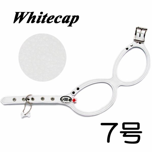 画像1: 胴輪 ハーネス バディベルト 7号 ホワイトキャップ Whitecap ペット 犬 レザー 本革 BUDDYBELT バディーベルト 犬用 ドッグ バディーベルト正規輸入代理店 正規店 (1)