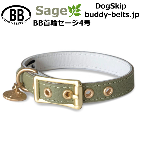BB 首輪 セージ Sage 4号