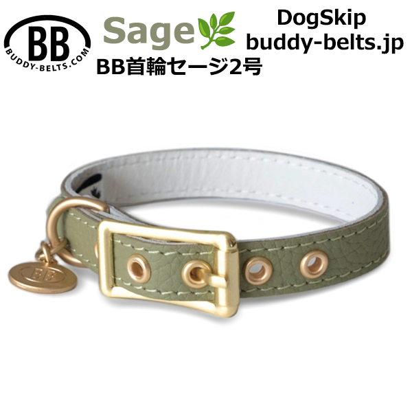 BB 首輪 セージ Sage 2号